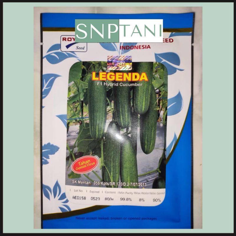 TIMUN LEGENDA F1 800 BUTIR ROYAL SEED