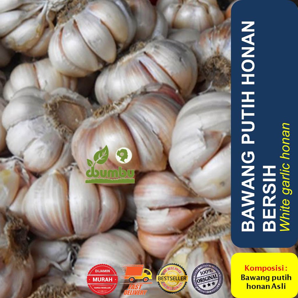 

Bawang Putih Honan 1000 gram