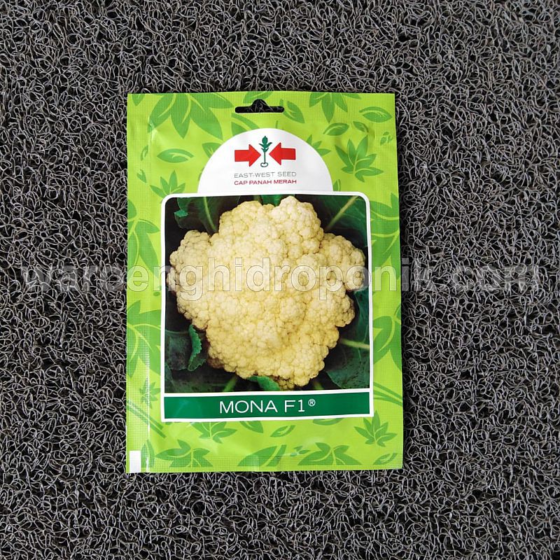 BENIH BUNGA KOL MONA F1 PANAH MERAH