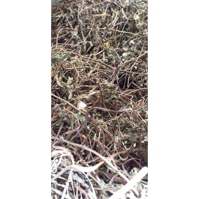 

MINT | PEPERMINT | KERING 1 KG-GROSIR LEBIH MURAH
