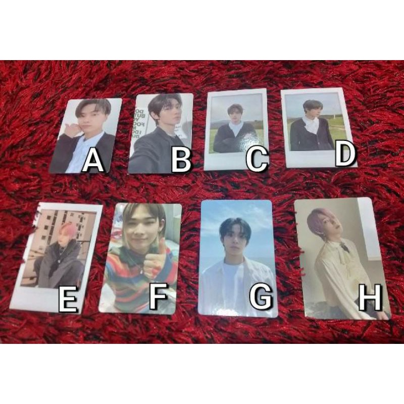 Enhypen Official Photocard