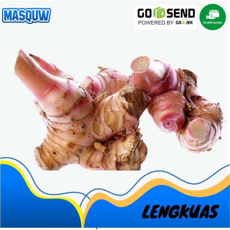 

LAOS / LENGKUAS / KENCUR / TEMU KUNCI REMPAH EMPON 100 GRAM