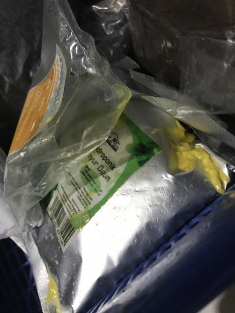 Purie Garden Tray Semai 72 Lubang