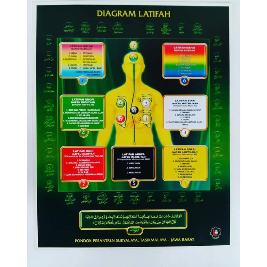 

Diagram Latifah