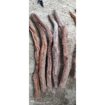 kayu santigi size m aquascape