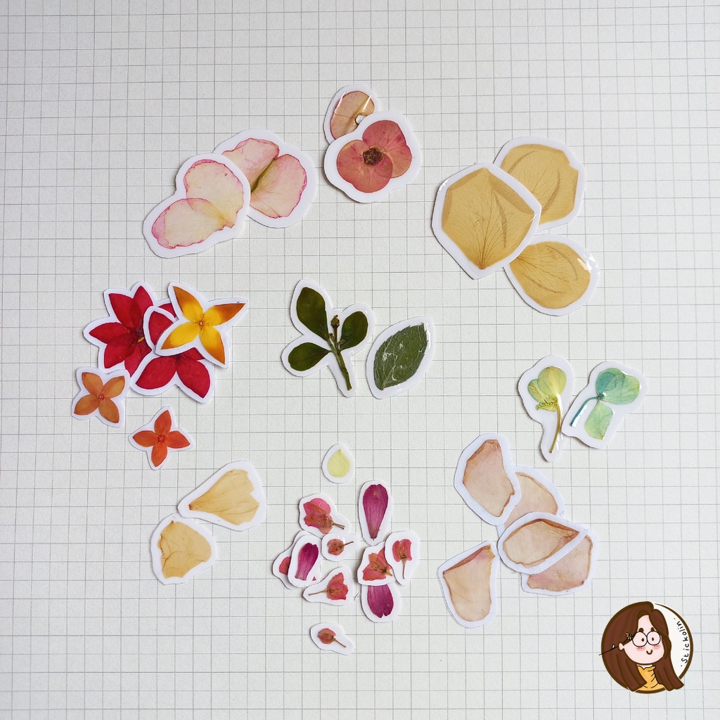 

Mini Mix Dried & Pressed Flower Sticker / Stiker Bunga Tekan (u/kerajinan tangan, hiasan, journal)