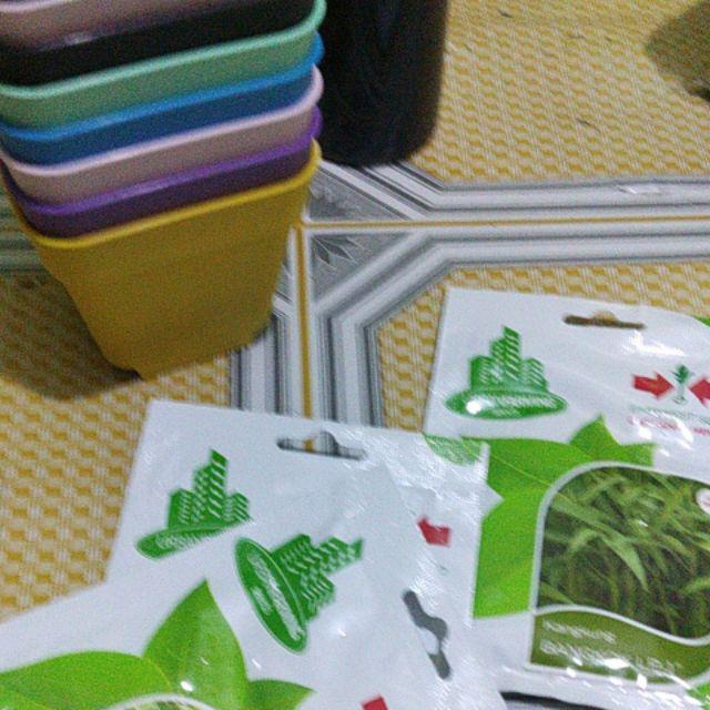 Botol Sprayer Mini 250ml Utk Semprot Air Semai Atau Pestisida Nabati