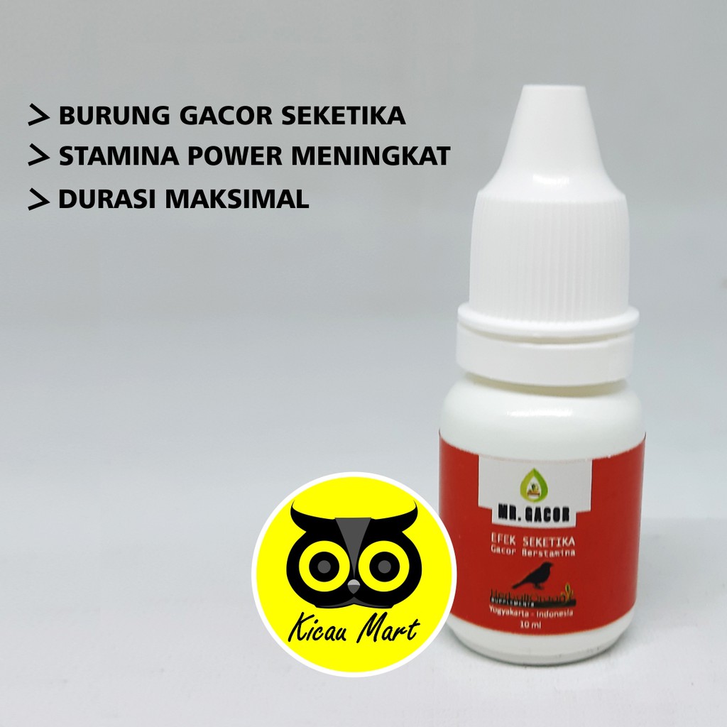 VITAMIN BURUNG MR. GACOR ORANGE EFEK SEKETIKA UNTUK MURAI KACER CUCAK OBAT PENGGACOR STAMINA GACOROR