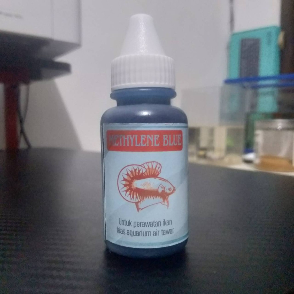 METHYLENE BLUE +VIT C OBAT BIRU IKAN CUPANG / METHYLENE BLUE CAIR