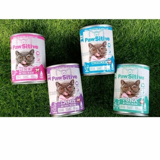 PAWSITIVE KALENG 380gr MAKANAN KUCING BASAH