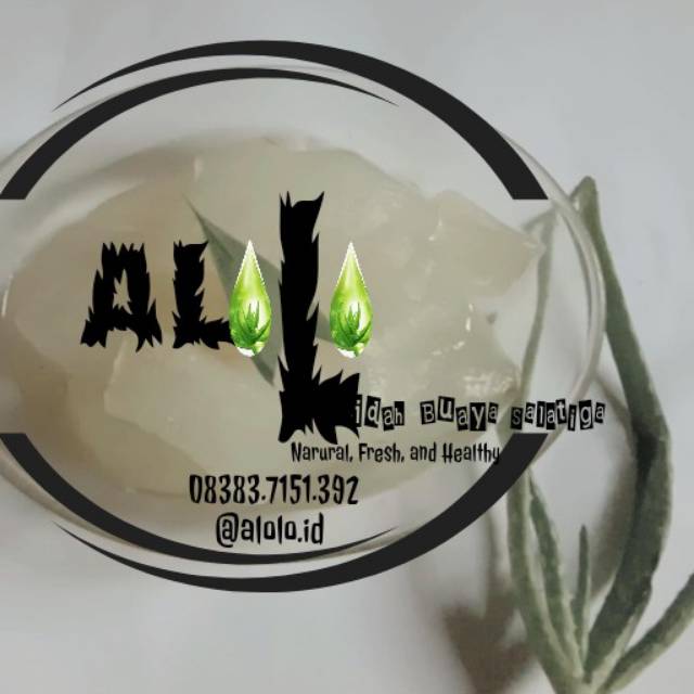 alolo.id