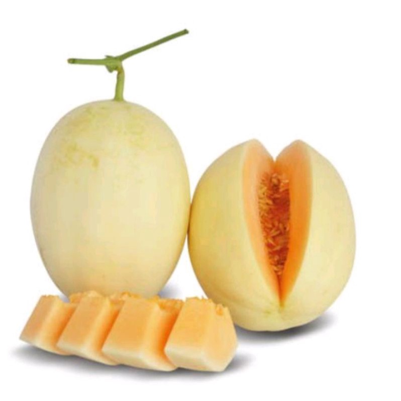 BENIH MELON GOLDEN KIRANI HIBRIDA ECER (REPACK 10 BIJI)