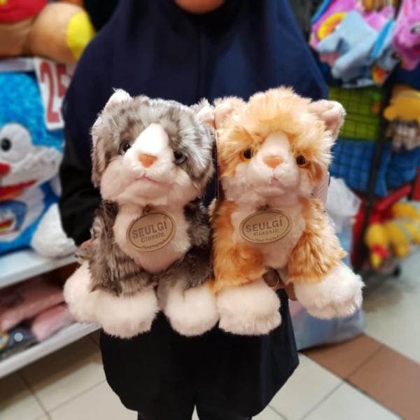

coklat boneka bulu Murah abu dan belang Promo kucing