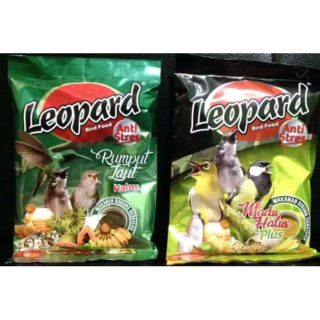 LEOPARD MADU/ RUMPUT LAUT