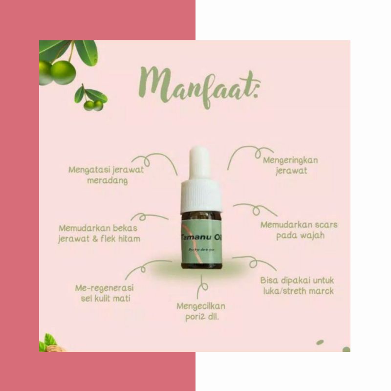 TAMANU OIL ISI 8ML TERMURAH PURE ORGANIC 100% BERSERTIFIKAT