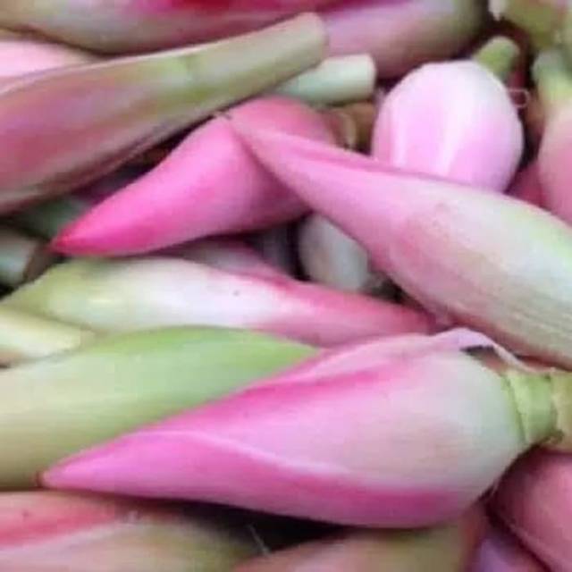 

Terlaris Rombeh, kecombrang, bunga honje 100gr