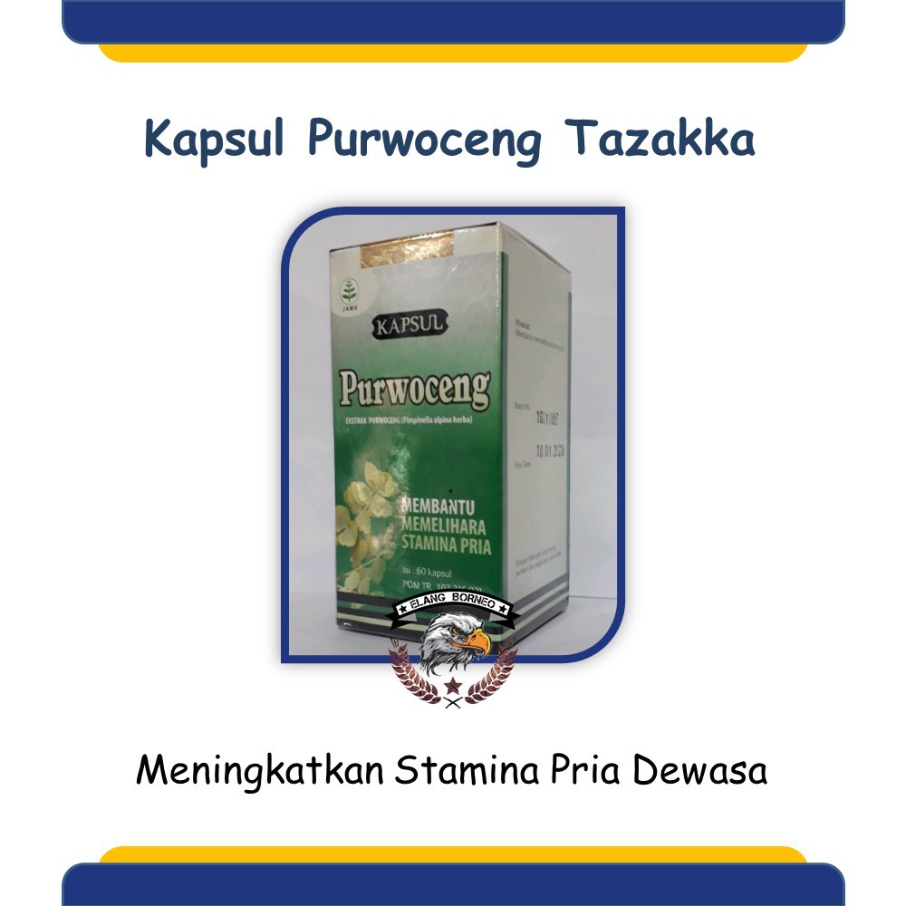 

Kapsul Ekstrak Purwoceng Tazakka Herbal Stamina Pria Sehat