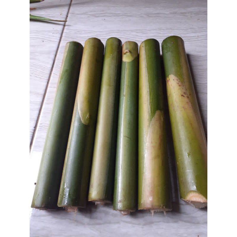 

batang kecombrang Hasil Kebun Sendiri