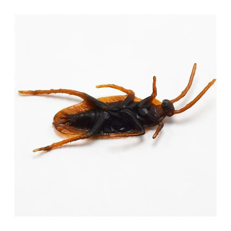 mainan kecoa prank mirip asli-1