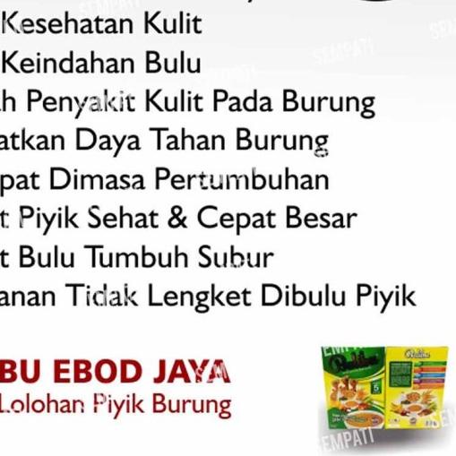 PAKAN BURUNG PIYIK ANAKAN BURUNG LOVEBIRD BALIBU EBOD JAYA
