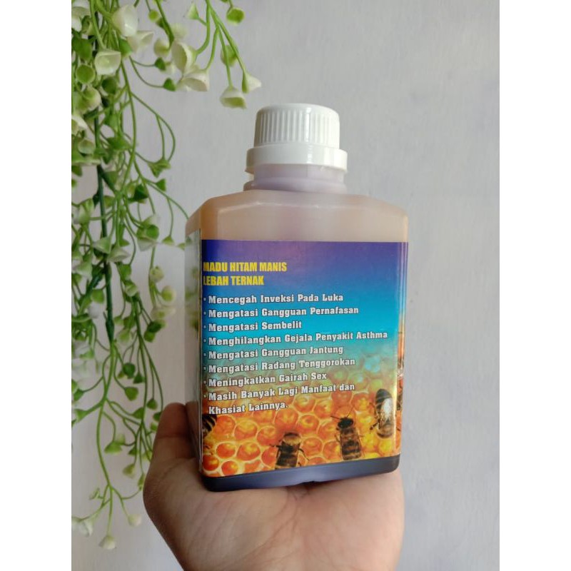 

Madu Herbal / Madu Hitam Manis / Madu Assyifa / Madu Turki