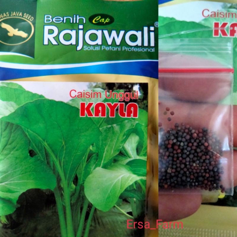 Benih Sawi Hijau // Benih Sayuran // Benih Seribuan // Bibit Sayuran.