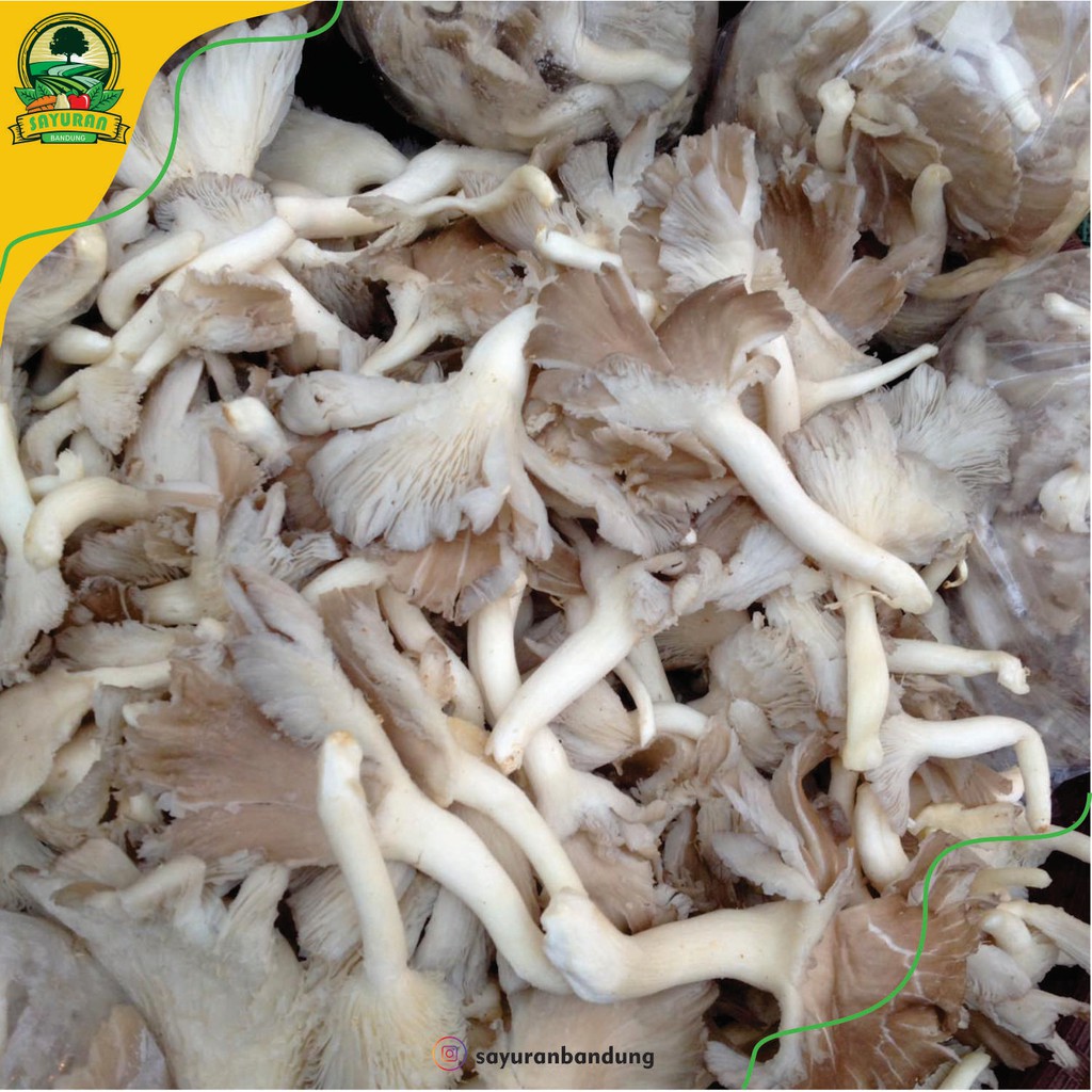 

promo JAMUR KAMPUNG/ 200 GRAM