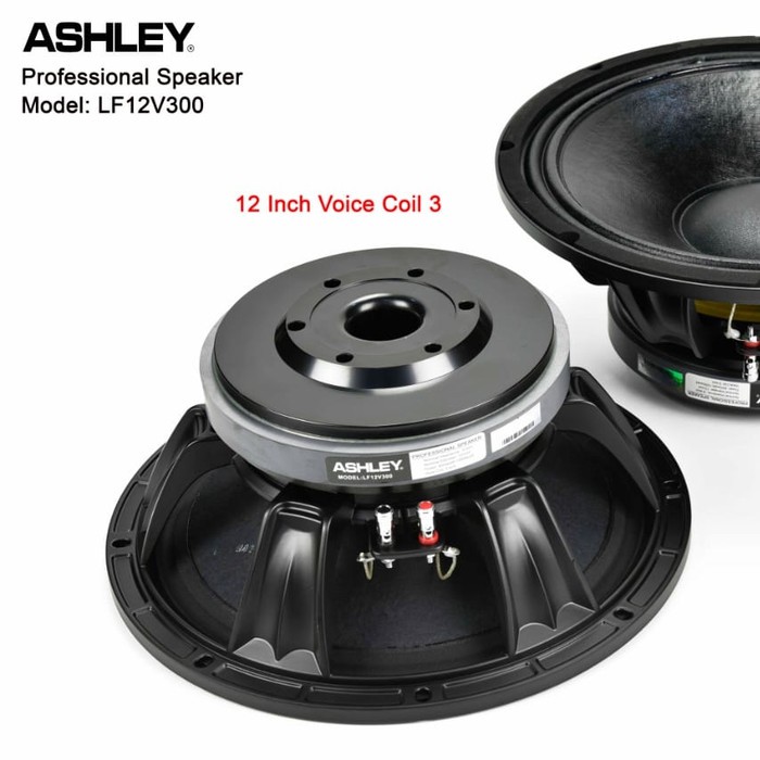 3 inch voice coil subwoofer