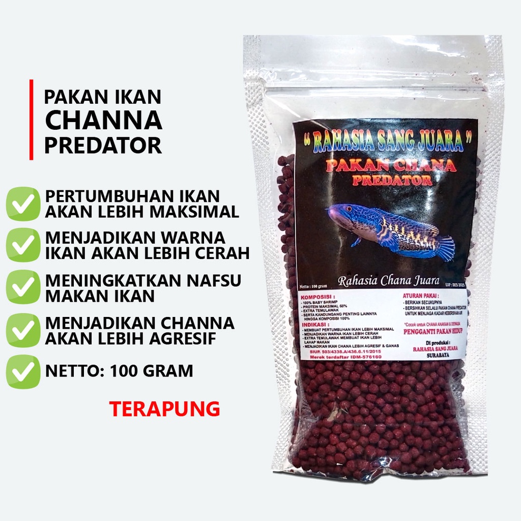 PELET CHANNA | PAKAN CHANA PREDATOR MEMBUAT PERTUMBUHAN IKAN LEBIH MAKSIMAL DAN MENJADIKAN WARNA LEBIH CERAH