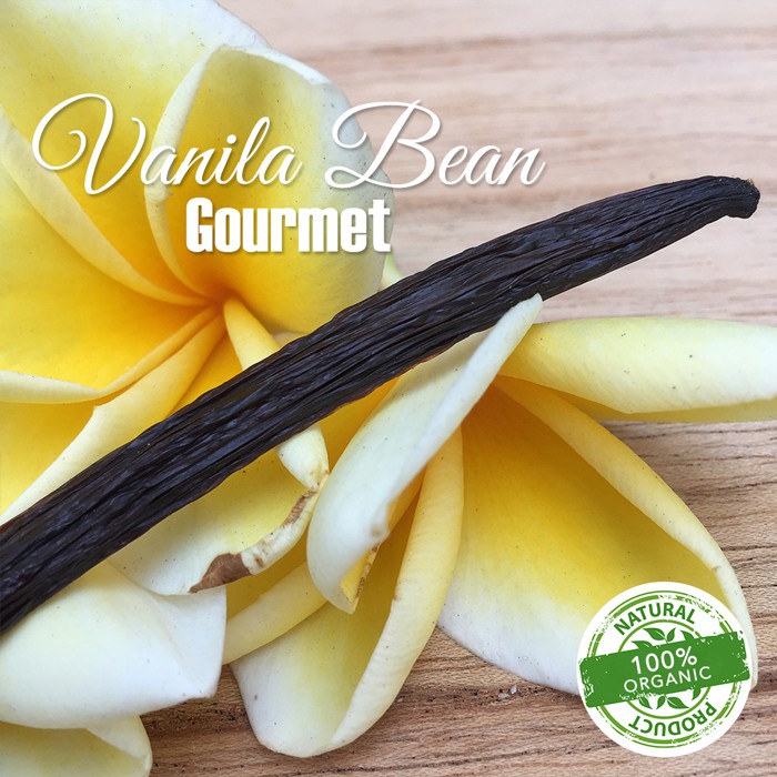

VANILLA BEAN GOURMET - 1bj / 1 Batang / Biji Vanilla / Biji Vanilli / Vanilla Planifolia / Vanili