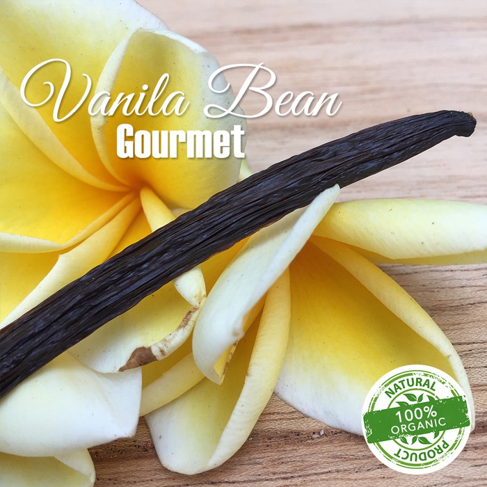 VANILLA BEAN GOURMET - 1bj / 1 Batang / Biji Vanilla / Biji Vanilli ...