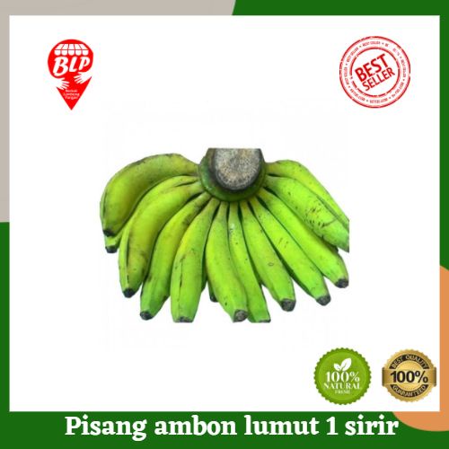 

Pisang Ambon Lumut 1 Sisir Berkah Lumbung Pangan