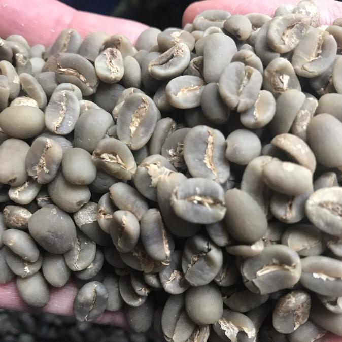 

Green Bean Arabika Mamasa G1