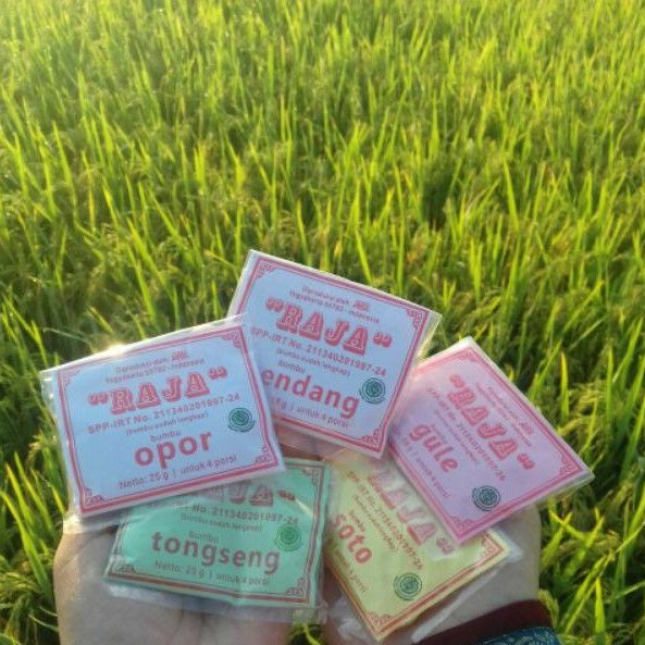 

RAJA Bumbu Instan Praktis Alami Sachet Ecer - hassanah.id