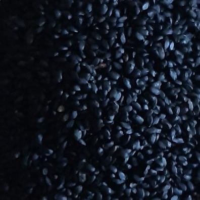 

biji selasih bersih 1kg ,basil seeds