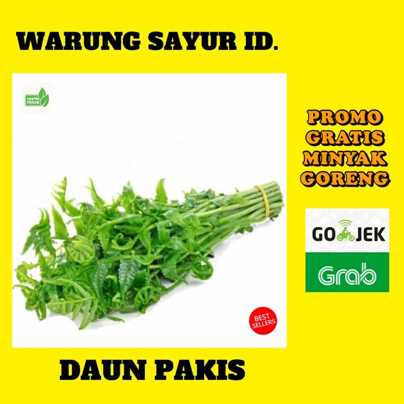 

DAUN PAKIS 1 IKAT