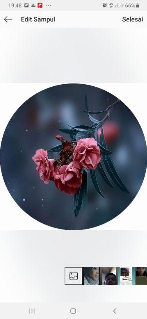 Bima Prima Steamer Set 26cm, Inox Premium