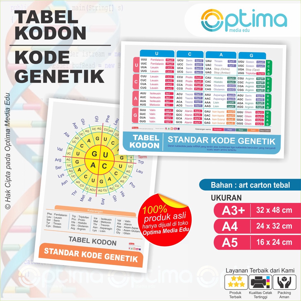 

TABEL KODON KODE GENETIK BIOLOGI