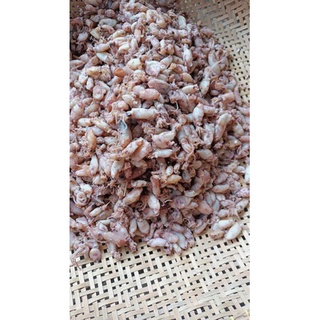 Jual BABY CUMI KERING / BABY CUMI 250 gram | Shopee Indonesia