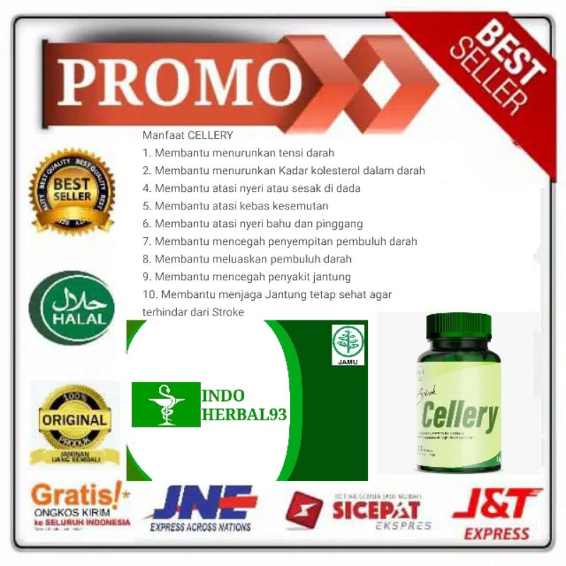 CELLERY obat darah tinggi Celery herbal cellery obat hipertensi