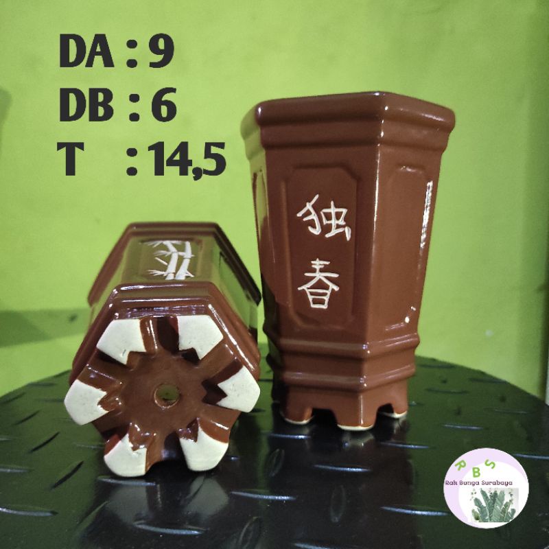 Pot bonsai Cascade Motif Mandarin