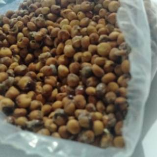  Biji  Sorgum  1kg Organik Shopee Indonesia