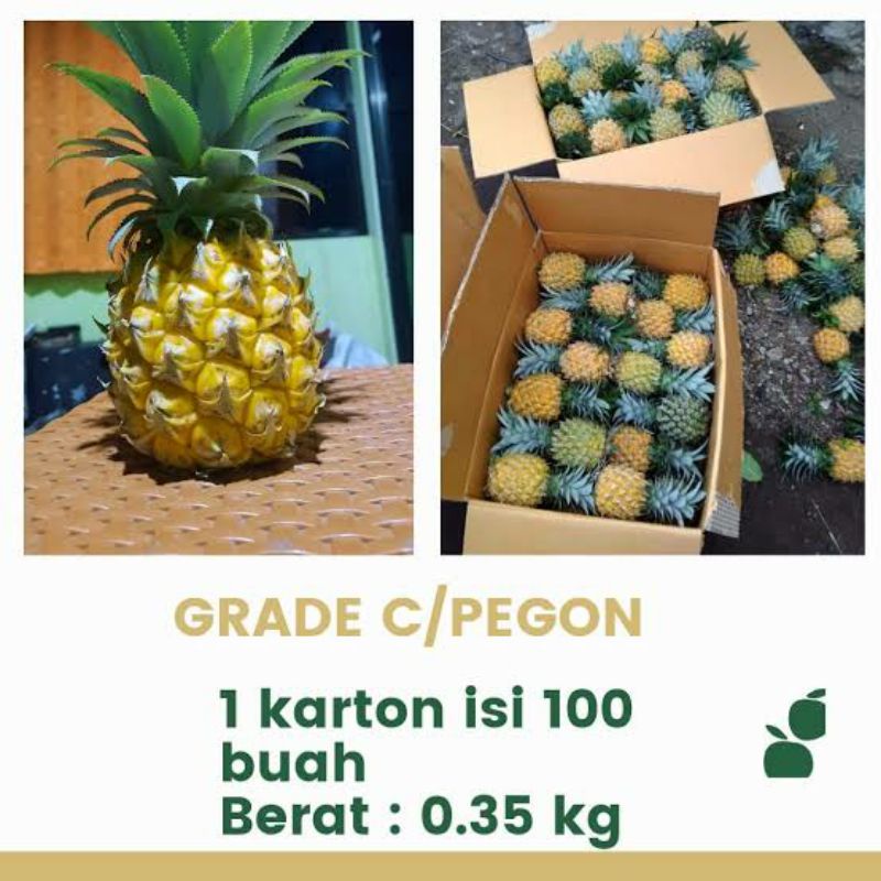 

GROSIR NANAS MADU 100PCS
