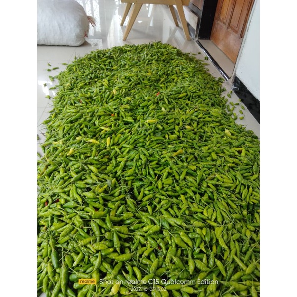 

Cabe hijau lokal dipetik Langsung dari Lahan