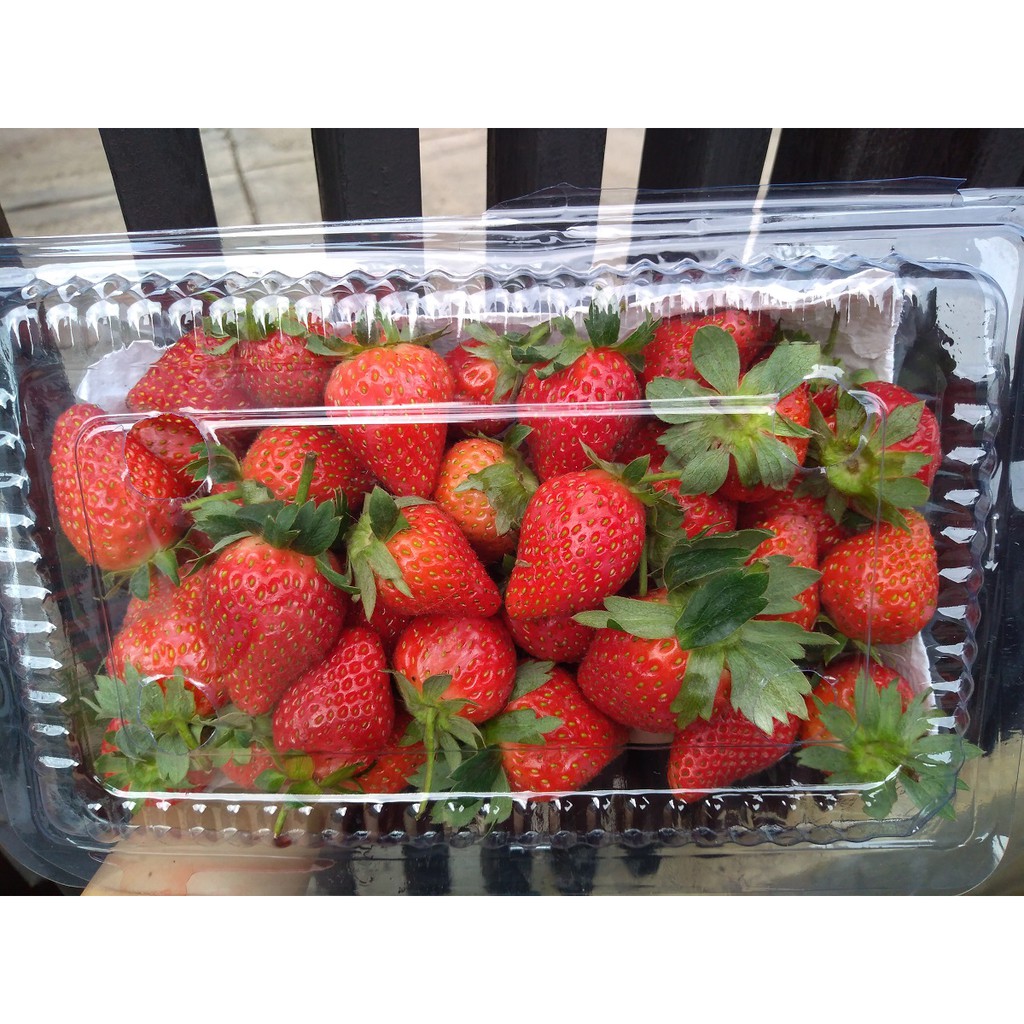 Strawberry Buah Segar Bandung