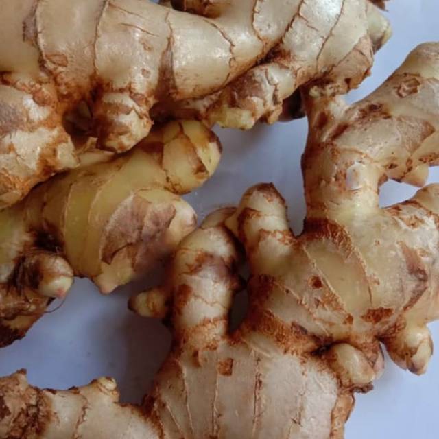 

Jahe 250gr