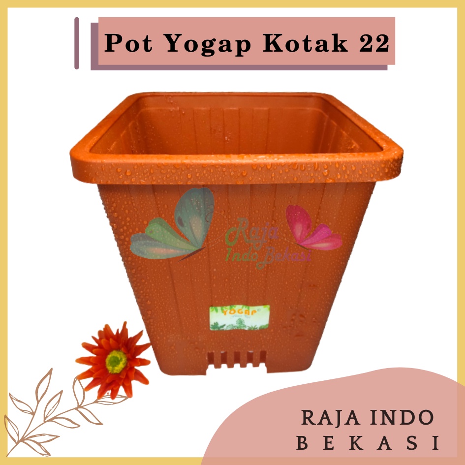 Pot Yogap Kotak 22 Merah Bata Coklat Terraccota Terakota Orange Pot Yogap 10 13 15 17 18 19 25 30 Pot Yogap Lusinan Pot Kotak Panjang Tinggi Pot Segi Persegi Empat Hias Panjang Plastik