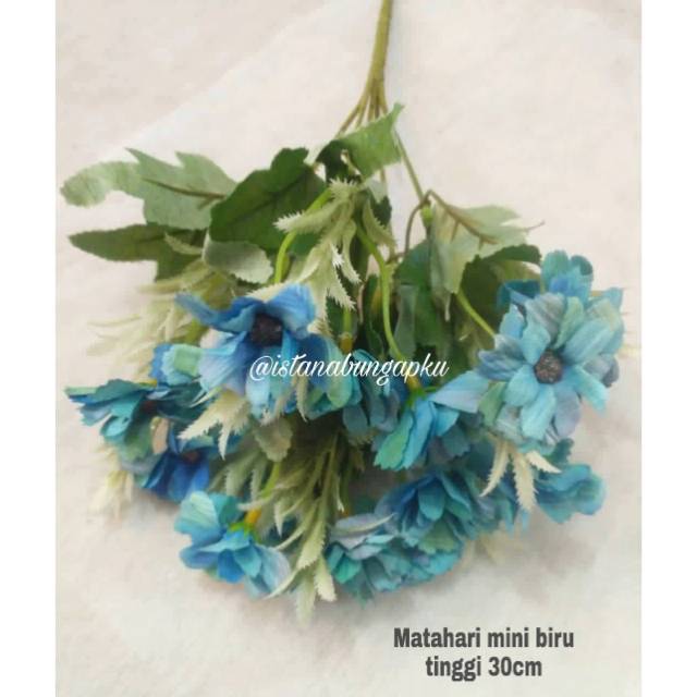

Matahari mini biru