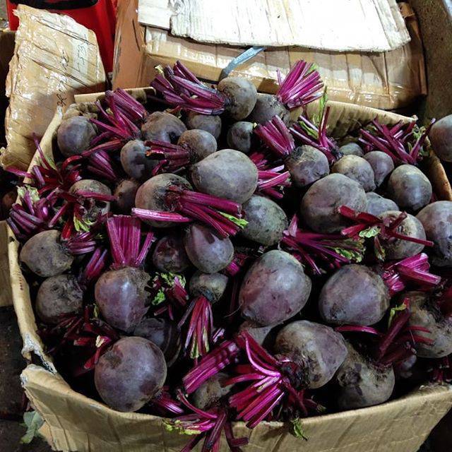 

Buah bit mojokerto
