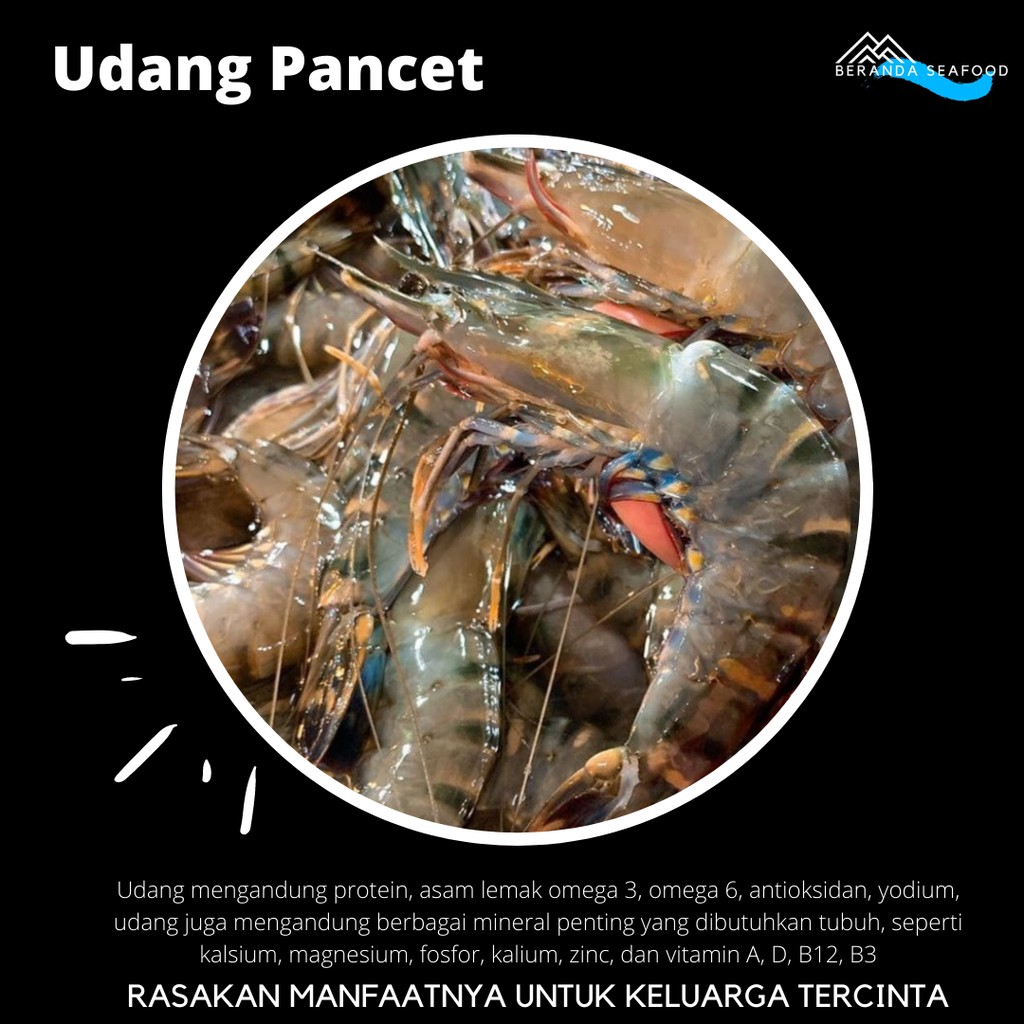 

Udang Pancet Segar (kualitas super premium)